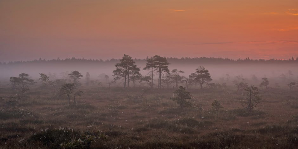 Baltic Tensions Rise: Estonia Seeks NATO Consultation After Airspace Incursion